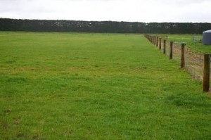FarmLand