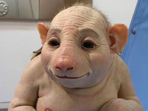 SwineFlueAffected