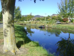 car in river 1